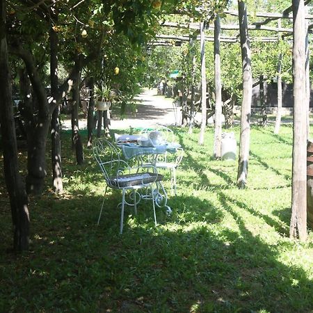 Emy'S Country House Apartment Castellammare di Stabia Ngoại thất bức ảnh