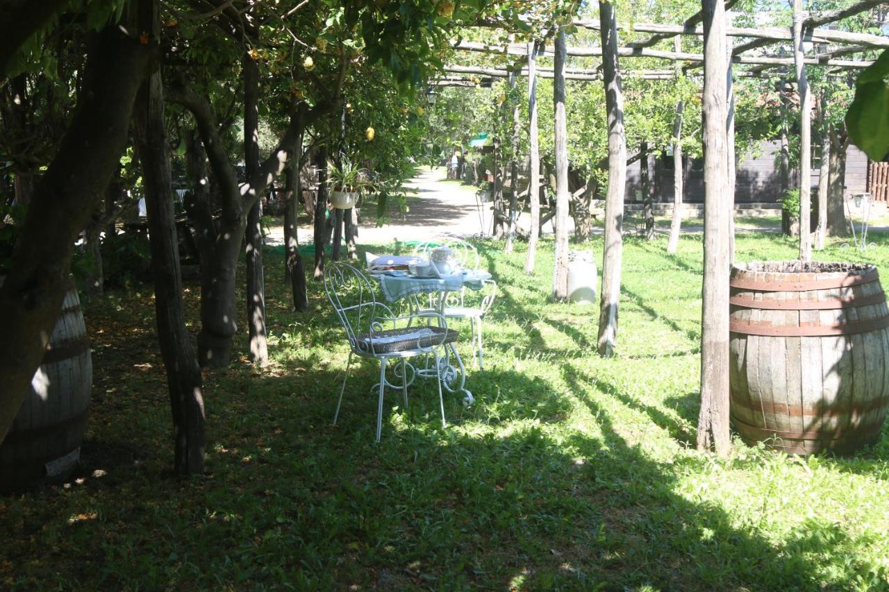 Emy'S Country House Apartment Castellammare di Stabia Ngoại thất bức ảnh