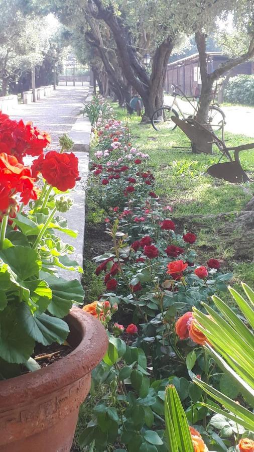 Emy'S Country House Apartment Castellammare di Stabia Ngoại thất bức ảnh